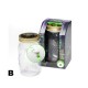 B - Green Firefly In A Jar