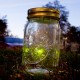 Firefly In A Jar